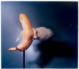 © The Harold and Esther Edgerton Family Foundation, courtesy Palm Press, Inc.  Not for reproduc…