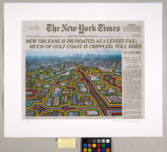 © Fred Tomaselli. Courtesy the artist and James Cohan, New York. Photograph and digital image ©…