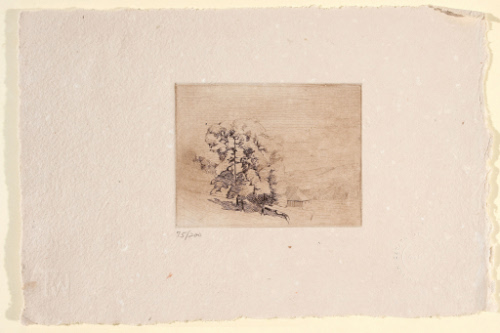 Connecticut Landscape