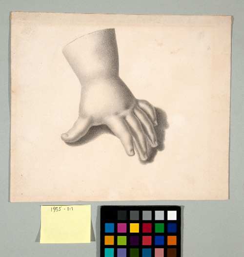 Study of a Cast of a Hand