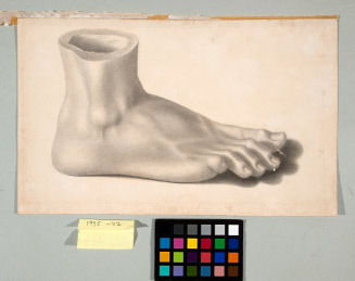 Study of a Cast of a Foot
