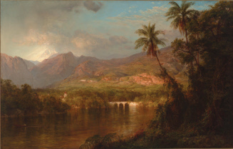South American Landscape