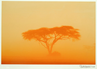 © Pete Turner. Photograph and digital image © Delaware Art Museum. Not for reproduction or publ…