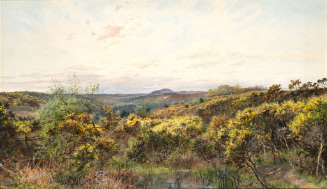 William Henry Millais
