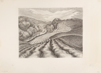 Ploughed Fields