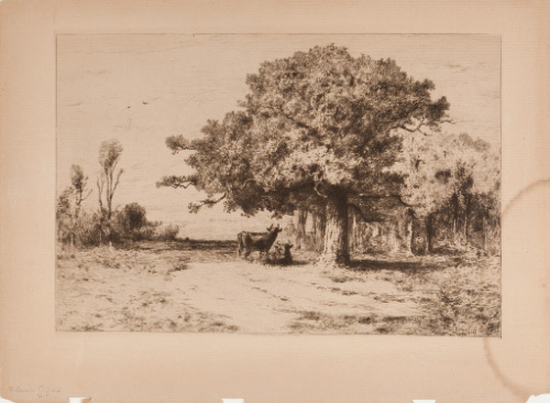 A Woodland Pasture