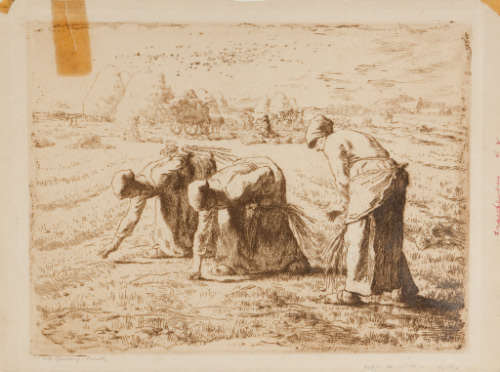 The Gleaners