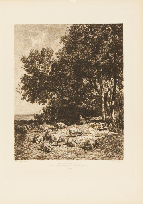 Landscape with Sheep