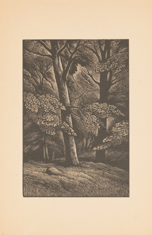 © Artist's Estate. Photograph and digital image © Delaware Art Museum. Not for reproduction or …