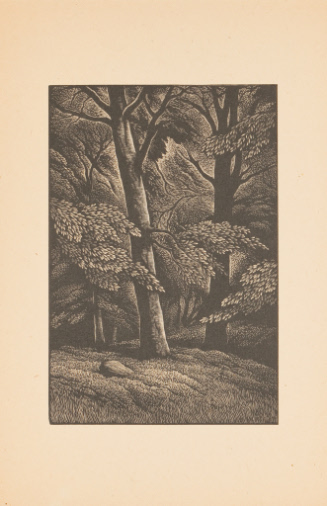 © Artist's Estate. Photograph and digital image © Delaware Art Museum. Not for reproduction or …