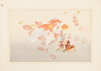 Goldfish and Medaka, State 17 of Partial Process Set