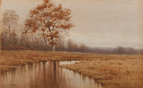 November Landscape