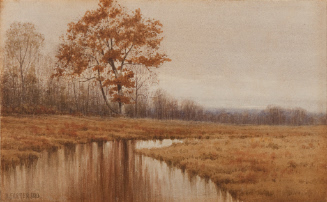 November Landscape