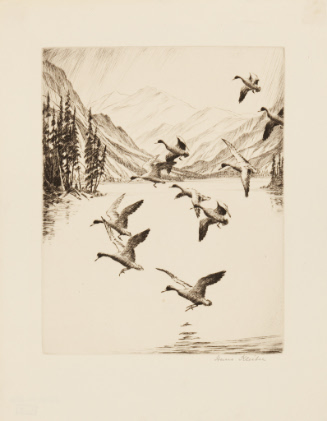 Flight of Ducks, Lake Solitude