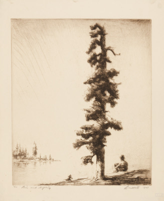 Pine and Sapling