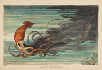 The Giant Squid at Bay. When attacked, it clouds the issue by discharging an inky fluid.