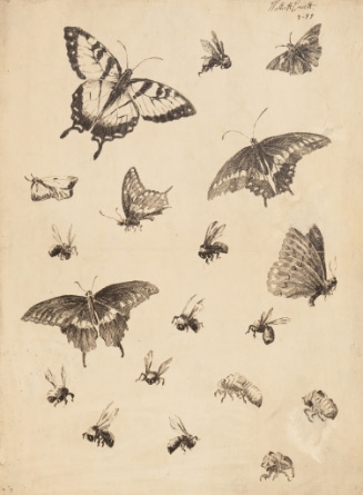 Butterflies