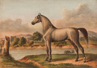 A. Kollner's Travelling Horse