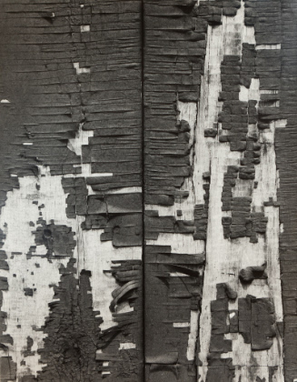 © Aaron Siskind Foundation. Photograph and digital image © Delaware Art Museum. Not for reprodu…