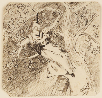 Woman in a tree