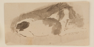 Reclining dog shown from rear