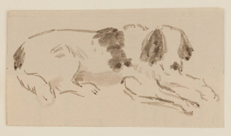 Reclining dogs shown from front side