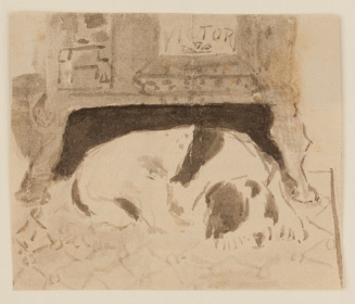 Dog lying before stove