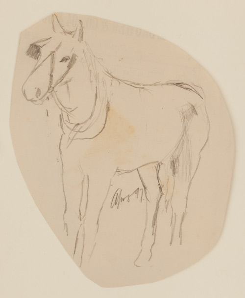 Three-quarter view of horse