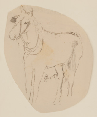 Three-quarter view of horse