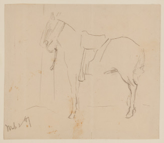 Side view of a horse