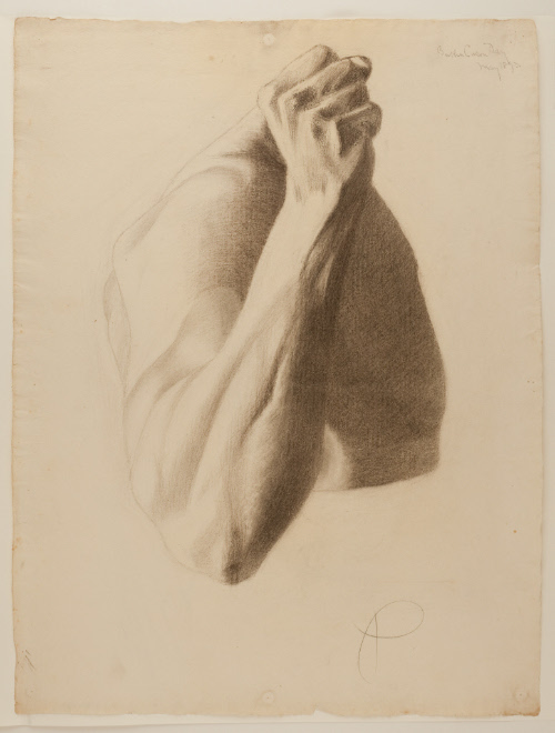 Study of man's forearm