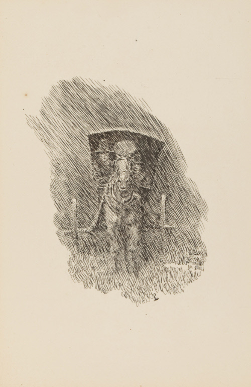 In the Rain