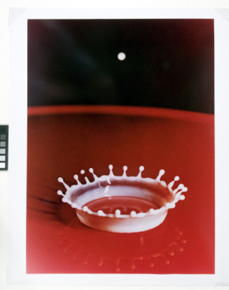 © The Harold and Esther Edgerton Family Foundation, courtesy Palm Press, Inc. Not for reproduct…