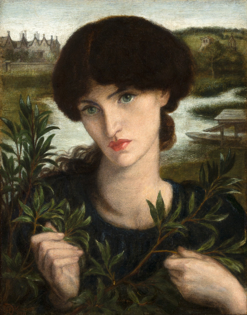 Water Willow