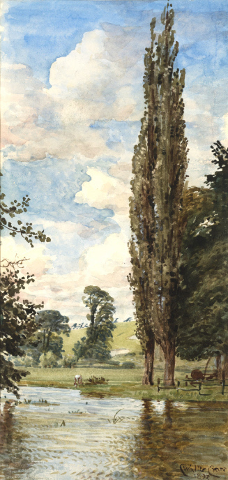 Bit of the Avon