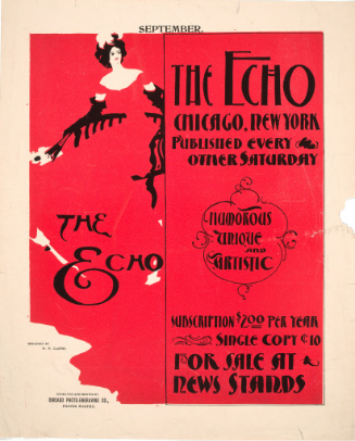 Poster for The Echo