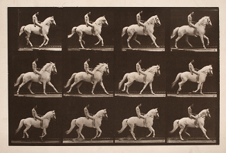 Animal Locomotion Plate 617: Nude Male on White Horse