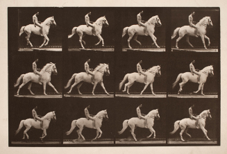 Eadweard Muybridge