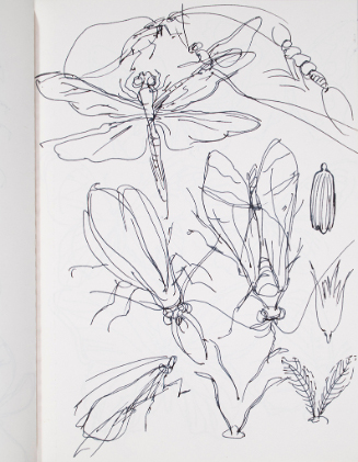 © Delaware Art Museum / Artists Rights Society (ARS), New York. Not for reproduction or publica…