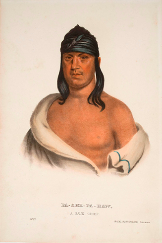 Pa-She-Pa-Haw, A Sauk Chief