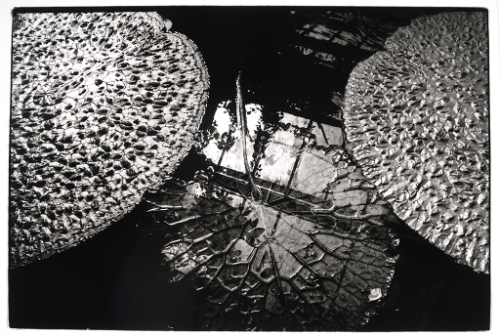 © Peter A. Moriarty. Photograph and digital image © Delaware Art Museum. Not for reproduction o…