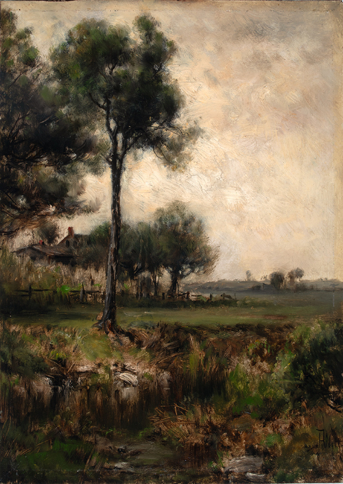 Landscape
