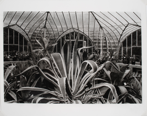 © Peter A. Moriarty. Photograph and digital image © Delaware Art Museum. Not for reproduction o…