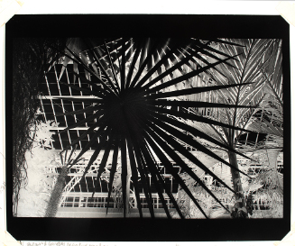 © Peter A. Moriarty. Photograph and digital image © Delaware Art Museum. Not for reproduction o…