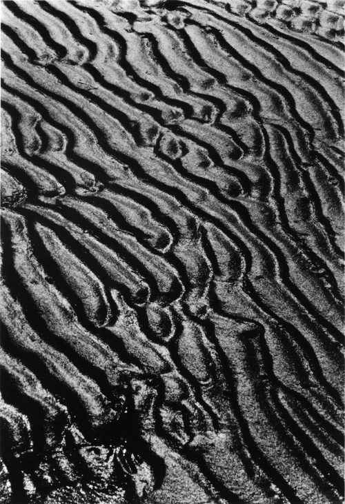 ©  Lucien Clergue/ VAGA for ARS, New York, NY. Photograph and digital image © Delaware Art Muse…