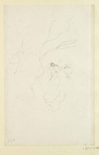 Sketch for A Child at the Siege of Vicksburg; The Shell
